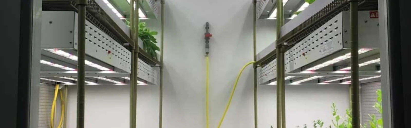 John innes centre plant growth room 21