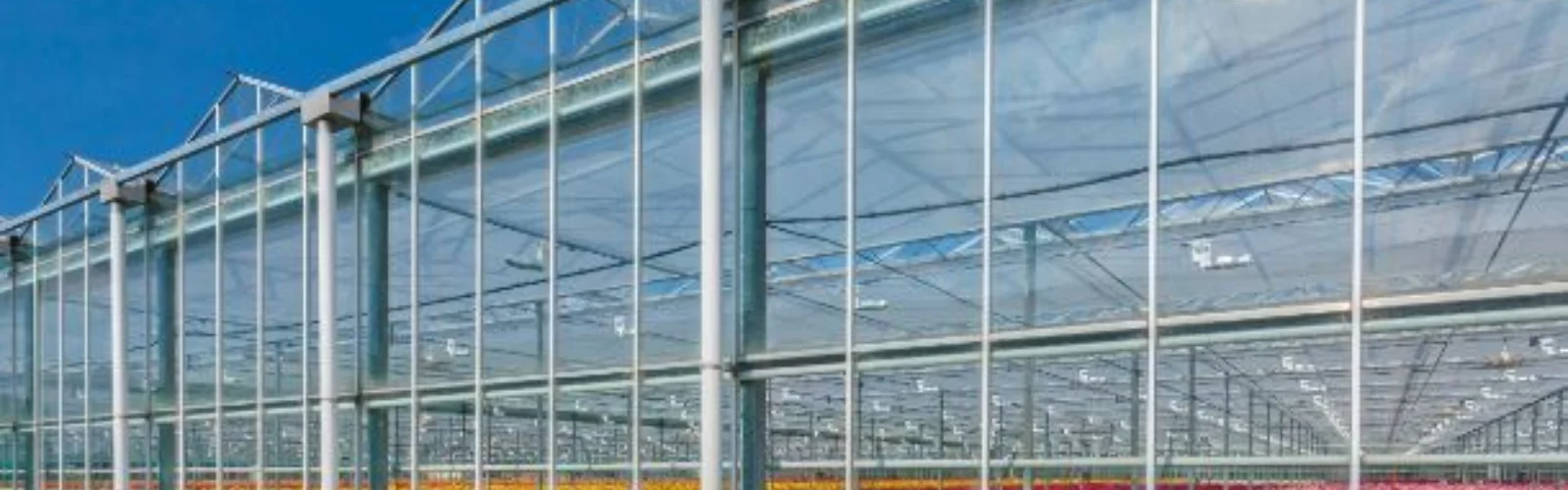 Greenhouse floral