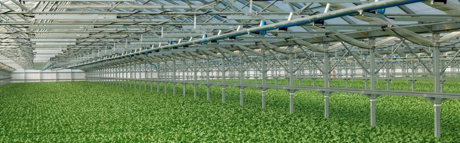 GoGreen