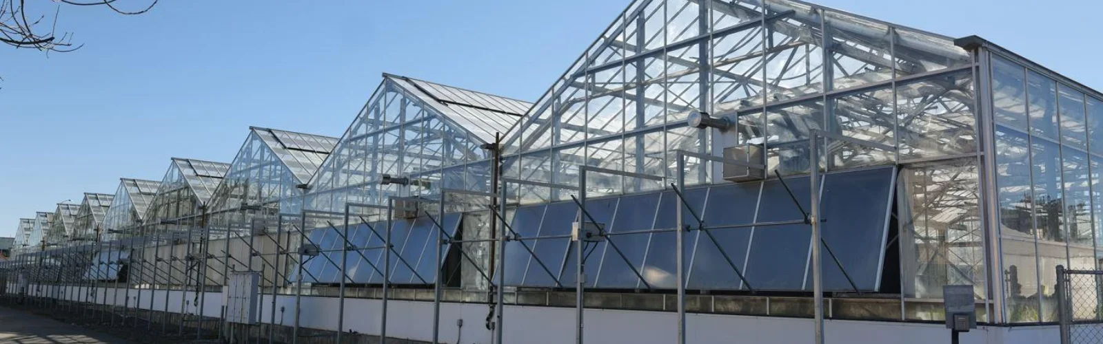 UC Davis Greenhouse
