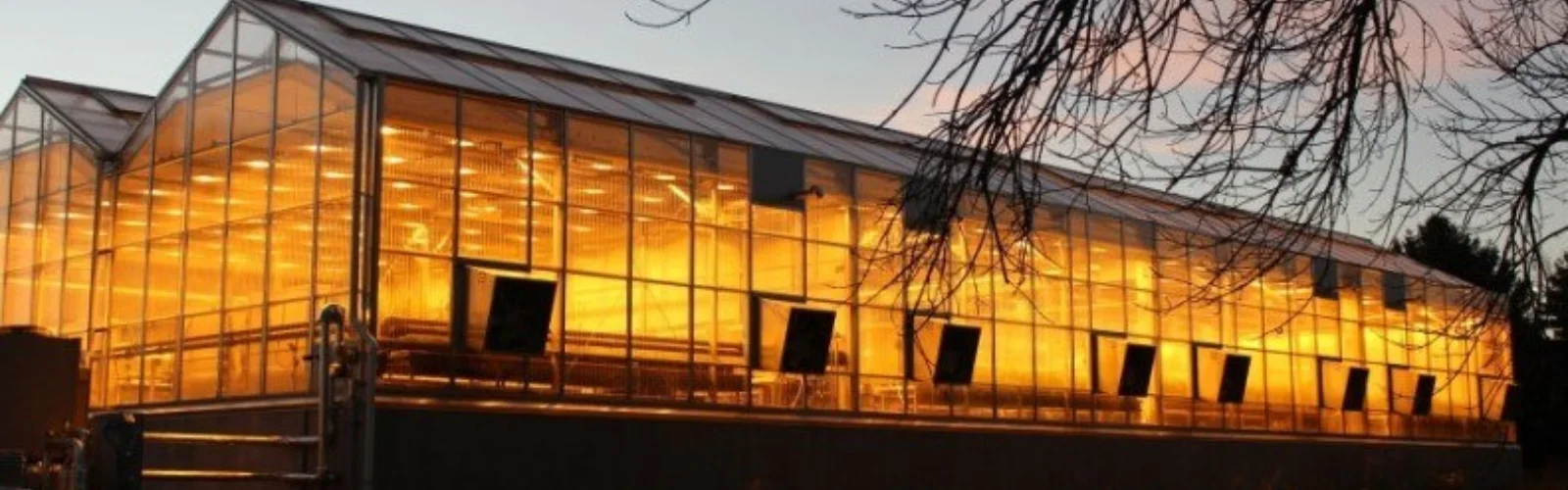 Kansas Wheat Innovation Center Greenhouse