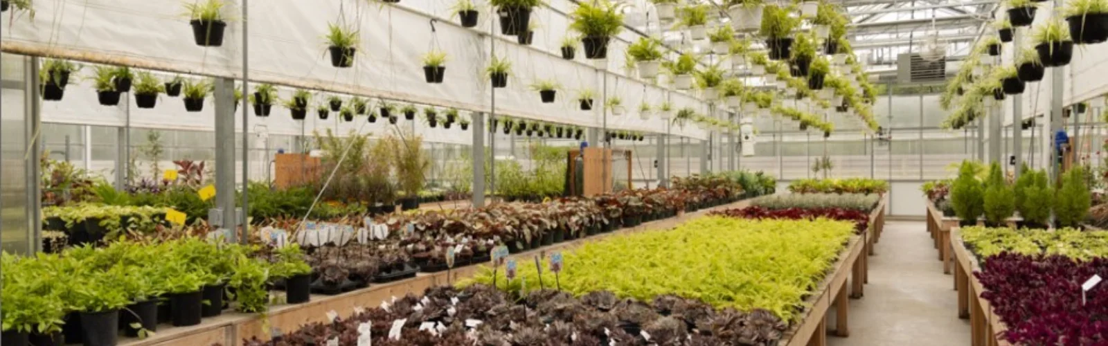 Argus Greenhouse Assin Park