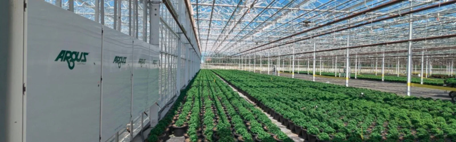 Argus greenhouse controls system