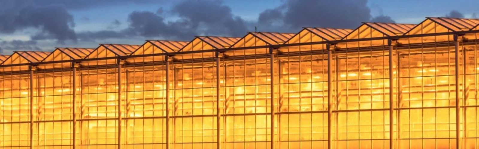Large Advanced Greenhouse