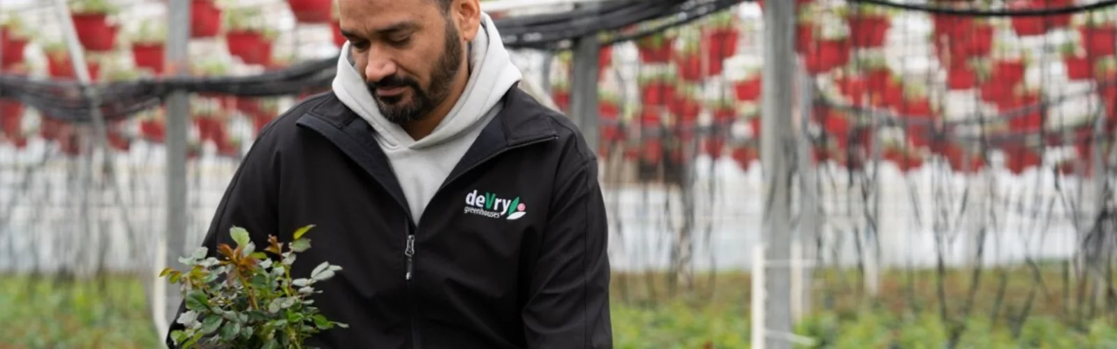 Devry Greenhouse Rajvir Prasher