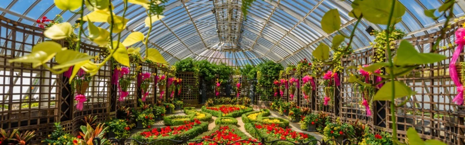 Phipps Argus and TC Controls 1