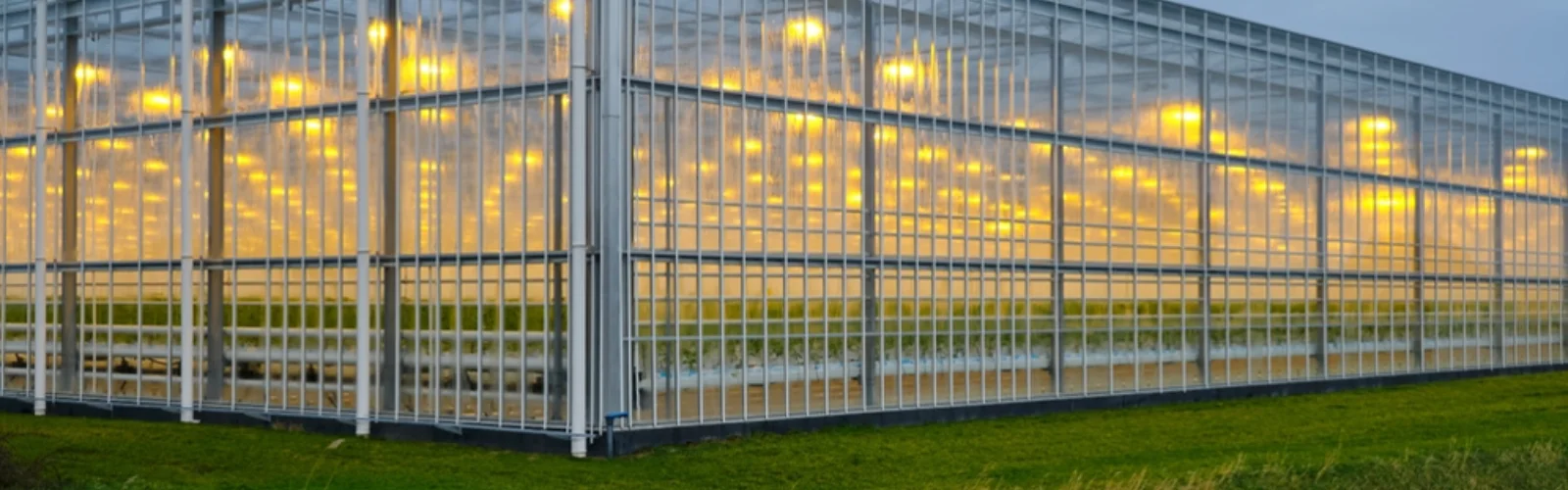 Greenhouse