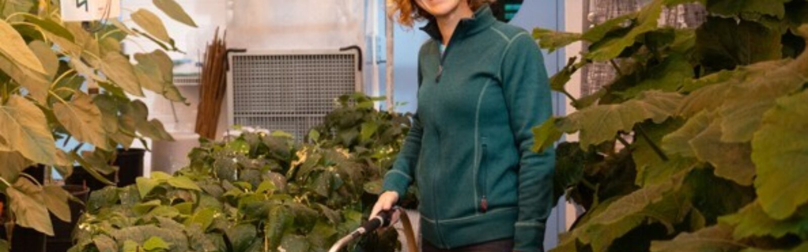Julie Bell BTI Plant Growth Facility 4