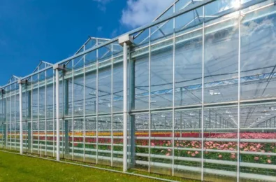 Greenhouse floral