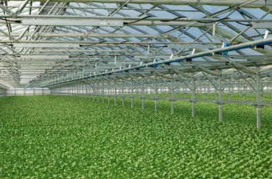 GoGreen