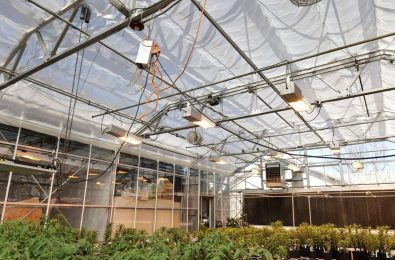 Argus Controls UCD greenhouse 2