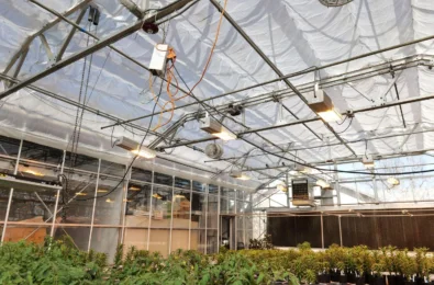 Argus Controls UCD greenhouse 2