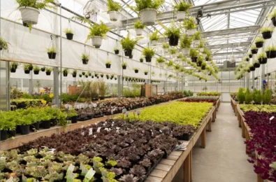 Argus Greenhouse Assin Park