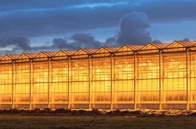 Large Advanced Greenhouse