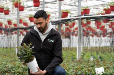 Devry Greenhouse Rajvir Prasher