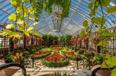 Phipps Argus and TC Controls 1