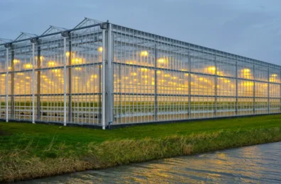 Greenhouse