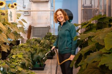 Julie Bell BTI Plant Growth Facility 4