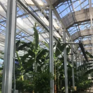 US Botanic Garden 1