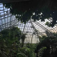 US Botanic Garden 3