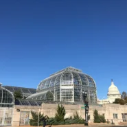 US Botanic Garden 6