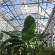 US Botanic Garden 7