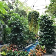 US Botanic Garden 8