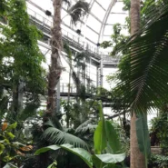 US Botanic Garden 9