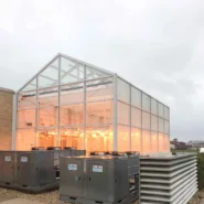 University of Minnesota Greenhouse 1