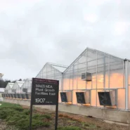 University of Minnesota Greenhouse 3