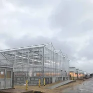 University of Minnesota Greenhouse 4