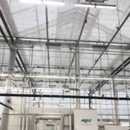 University of Minnesota Greenhouse 5