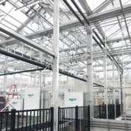 University of Minnesota Greenhouse 6